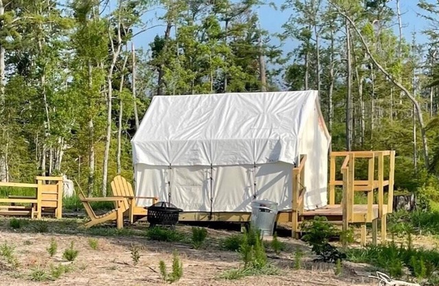 Tentrr State Park Site - Louisiana Sam Houston Jones State Park - Lagoon View E