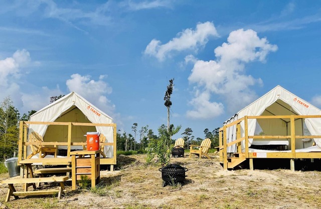 Tentrr State Park Site - Louisiana Sam Houston Jones State Park - Lagoon View F