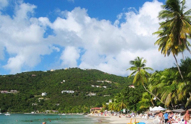 Tepsville (Lovely Tropical 1-Bedroom) 10 min from the Beach