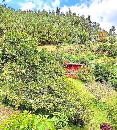 Tesorito House en las Montañas del Quindío