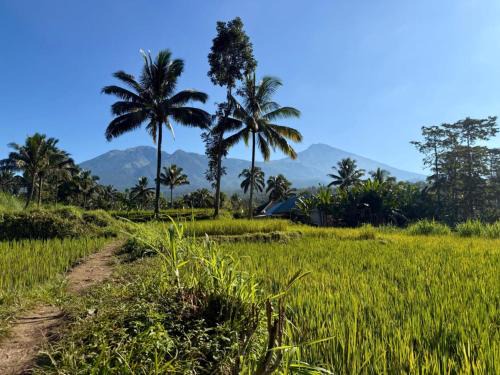 Tetebatu Valley Bungalows