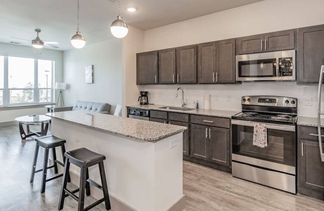 Texas Corporate Housing Solutions Professional Apt