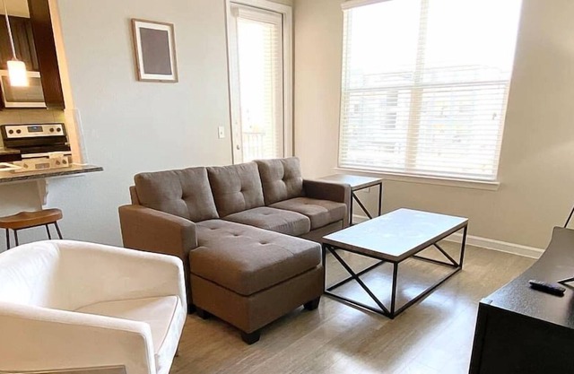 Texas Corporate Housing Solutions Professional Apt