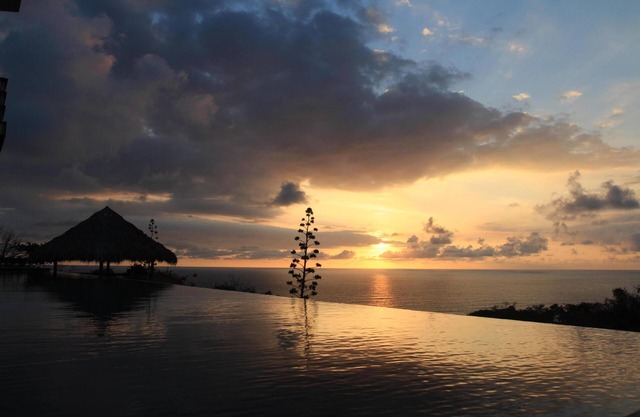 Thanksgiving Discount. Luxury Modern Beach View Villa, Infinity Pool and Gardens