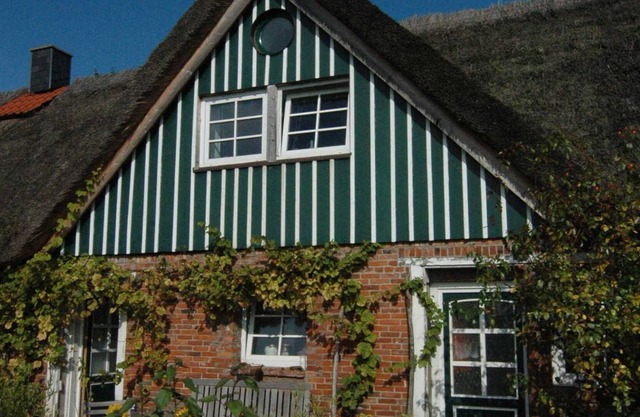Thatched roof apartment 2 - Alter Obsthof am Elbdeich - Holidays under the thatched roof