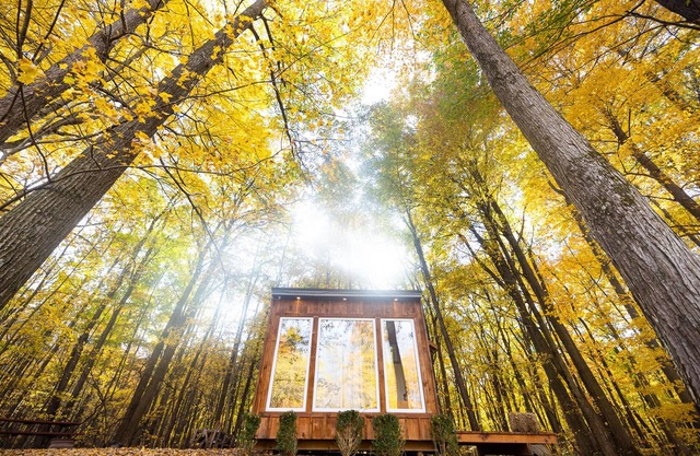 The Adler Cabin at Fernwood Hills