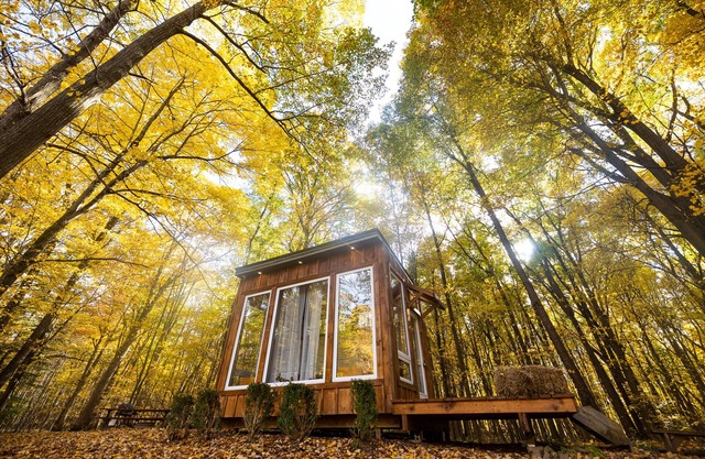 The Adler Cabin at Fernwood Hills