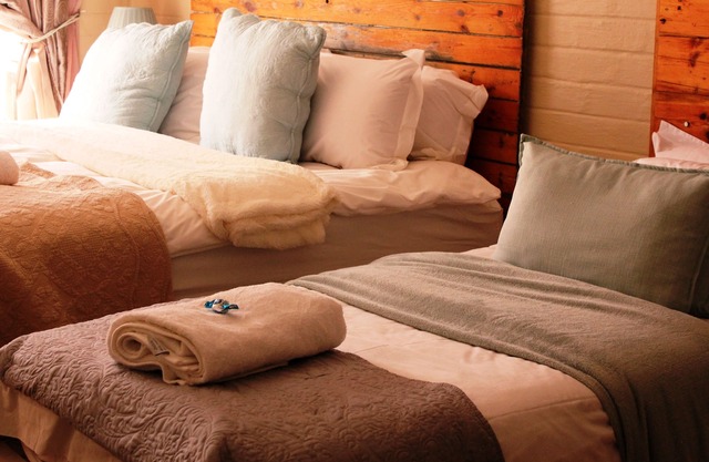 The-Ark B & B