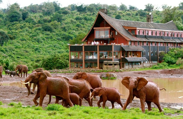 The Ark Lodge