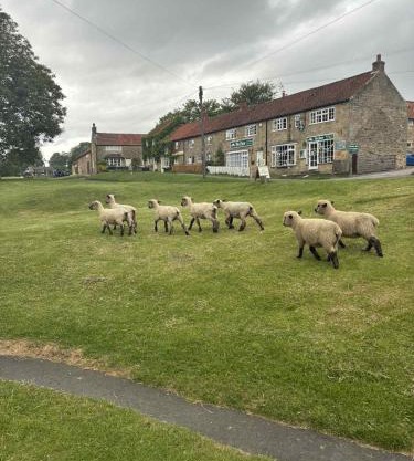The Barn Guest House and Tearoom