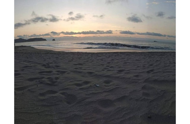 The Beach House