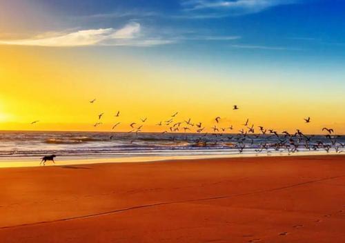 The Beach House! Just Steps from the Beach & Attractions - Perfect for Couples & Family Stays with Private Parking, Large Garden & Fast Free WiFi - The Perfect Seaside Getaway!