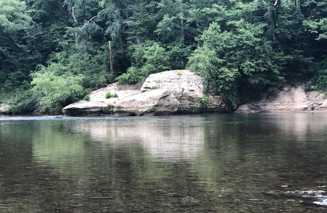 The Blue Heron Farm Cottage ~ Big South Fork ~ Relax on Five Private Acres!