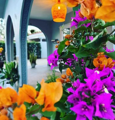 The blue Homestay near Miami Airport