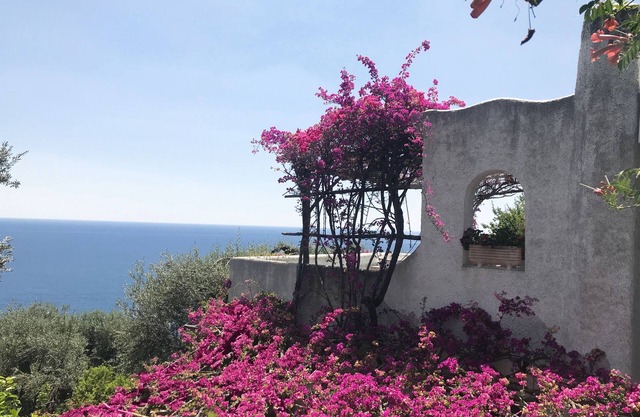 The "BLUE MARINA" Conca dei Marini AMALFI COAST