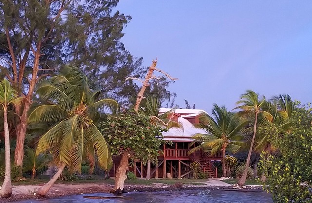 The Cabin at Rocky Point