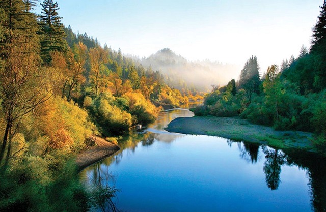 The Cabin on Fitch Mountain