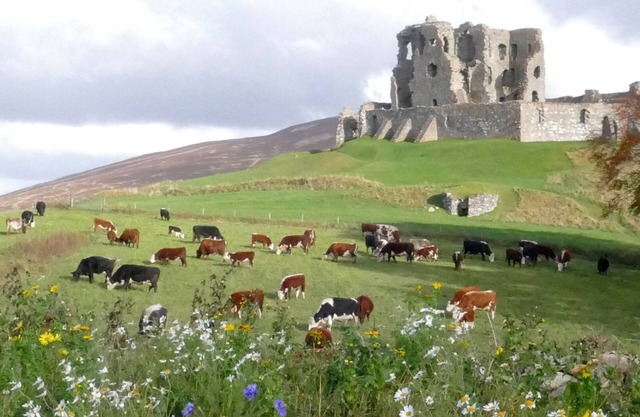 The Castle Byre, self-catering accommodation next to historic Auchindoun Castle