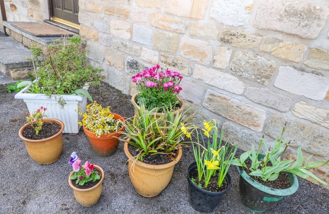 The Cottage at Moseley House Farm