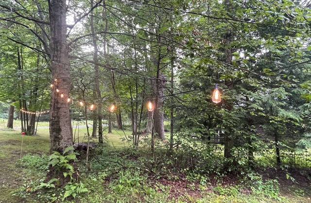 The Den: a cozy, rustic cabin in Kane off the beaten path near prime ATV trails