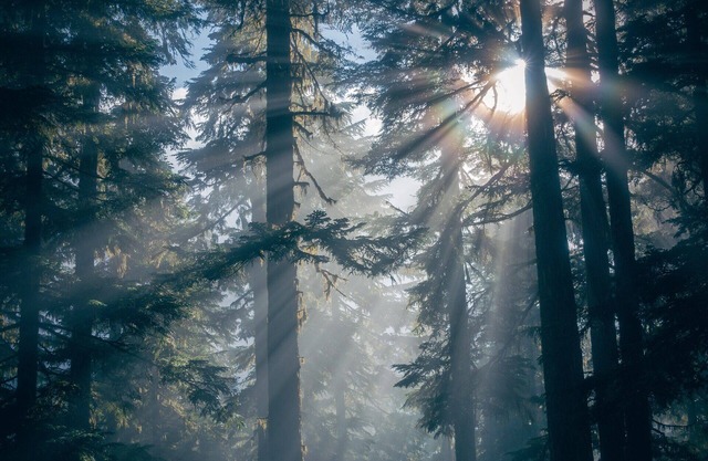 The Evening Star Lookout at The Twin Peaks Lodge