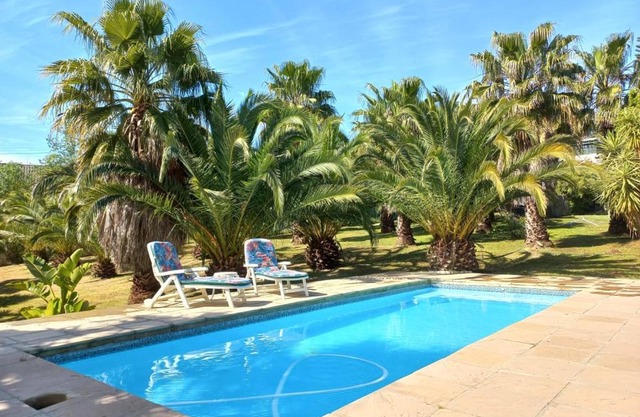 The Farmhouse Palm Tree Cabin