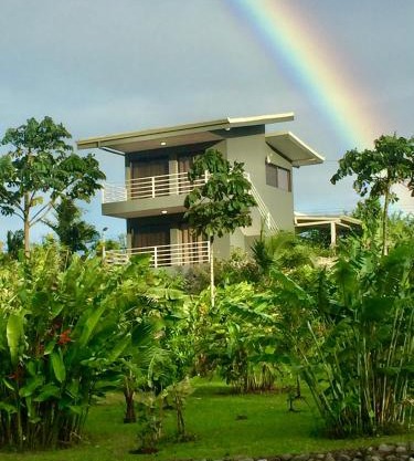 The Fruit Tree Garden Bromeliad Suite