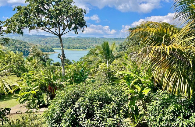 The Fruit Tree Garden Bromeliad Suite