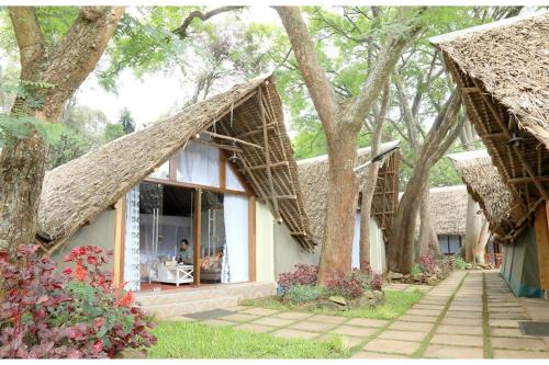 The Giraffe Cottages