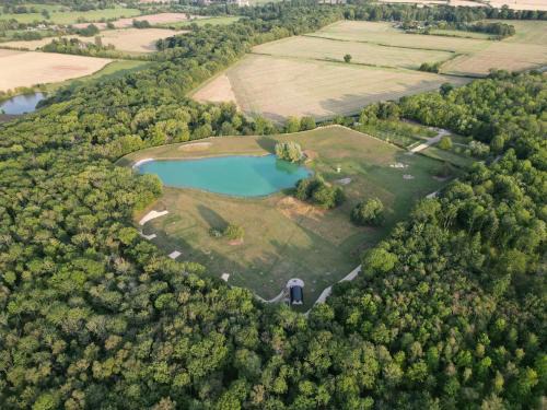 The Goose In The Woods