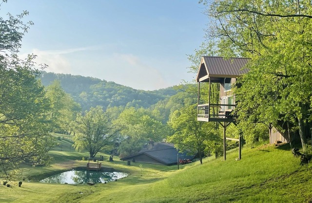 The "Hang-over" Winery Treehouse