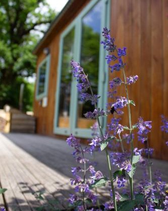 The Hideaway at Hidden Wood Glamping