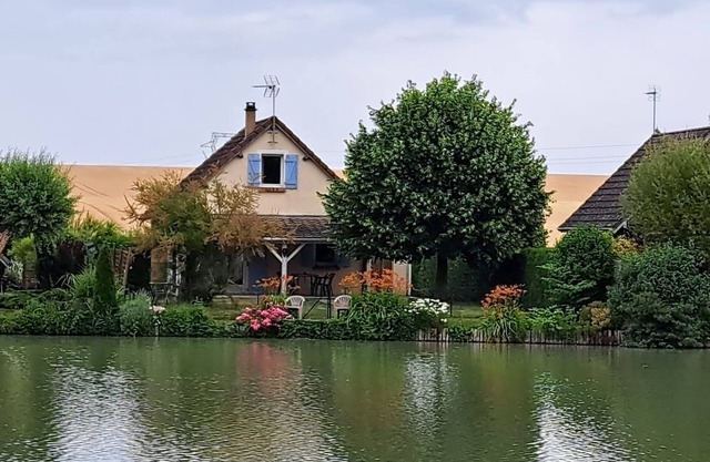 The house by the pond
