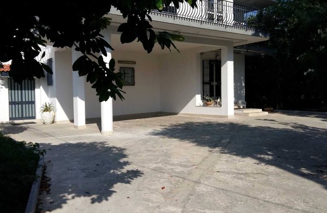 The house surrounded by greenery