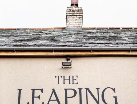 The Leaping Salmon