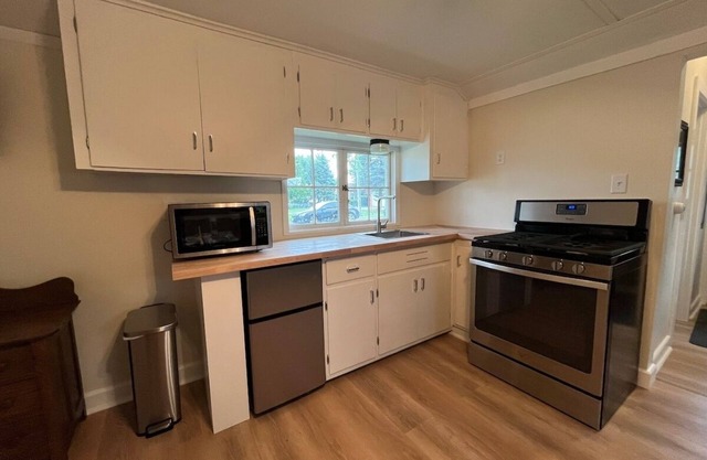 The little blue jay on lake winneconne