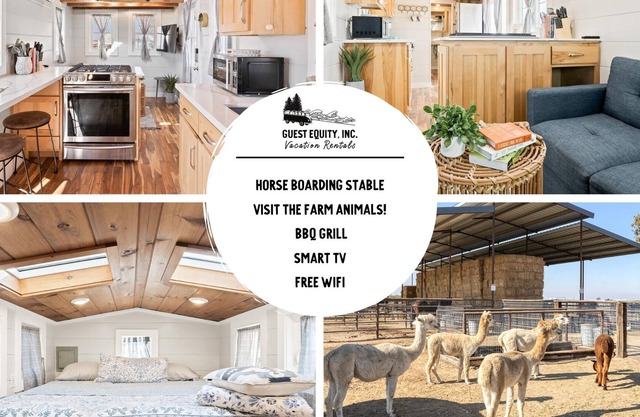 The Little Dipper - Alpacas Farm