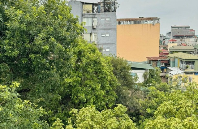 The Little Hanoi