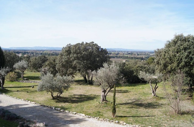 The luberon: opposite the swimming pool