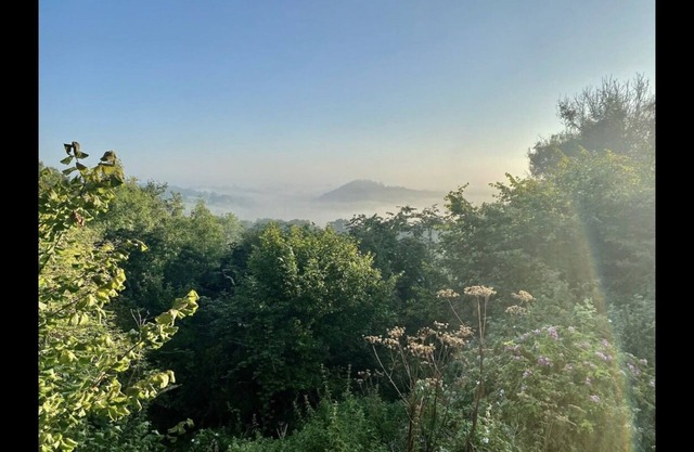 The Nest at Gilling Grove - stunning treetop views