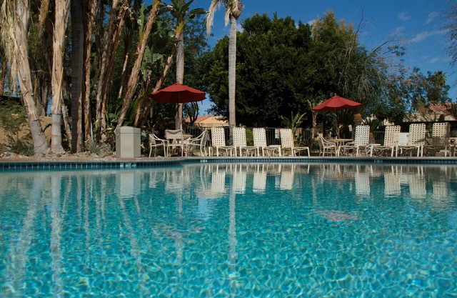 The Oasis