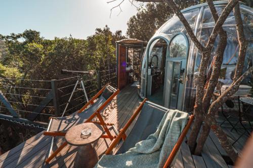 The Ocean Dome - Misty Mountain Reserve