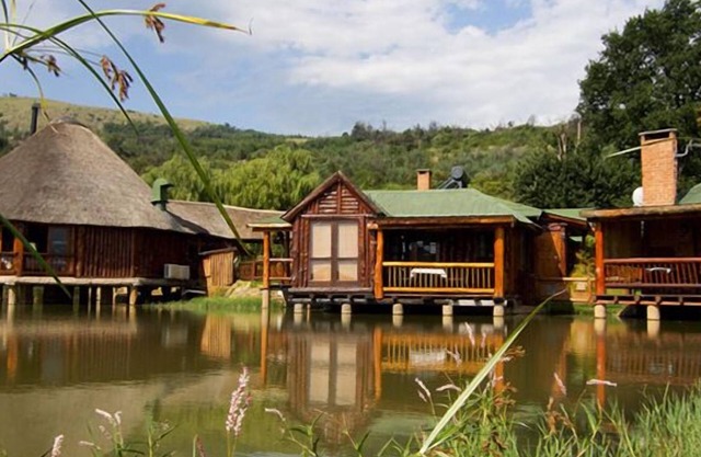 The Old Orchard