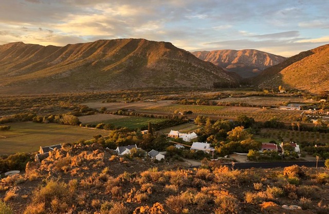 The Olive House, Prince Albert