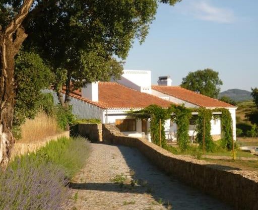 THE OLIVE PRESS - Alentejo