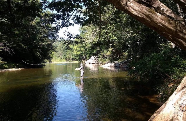 The Overlook on South Toe River