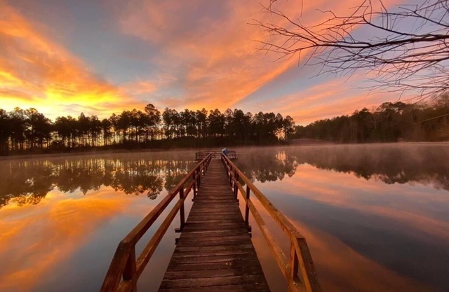 “The Pines Homestead” Secluded Retreat Home with its own five acre lake.