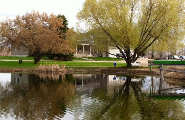 The Ponds-A Working Ranch