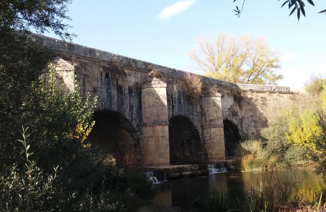 THE POSITION 6. Between Tierra de Campos and the Palentina Mountain