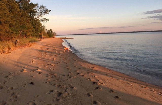 The River House at Whitestone: Pet Friendly, Secluded Private Beach, w/Kayaks!